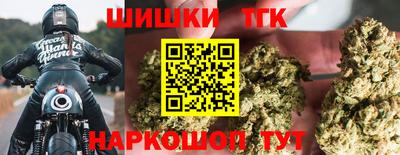 jwh Кингисепп