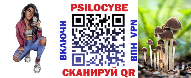 Псилоцибиновые грибы GOLDEN TEACHER  darknet наркотические препараты  Санкт-Петербург 