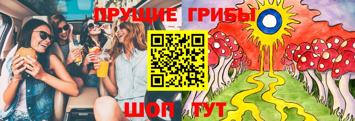 Псилоцибиновые грибы Psilocybine cubensis Санкт-Петербург